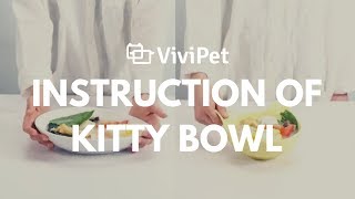 Vivipet Kitty Bowl Instruction