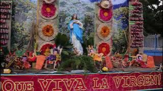 Canciones A La Purísima Virgen María Inmaculada Concepción En Marimba