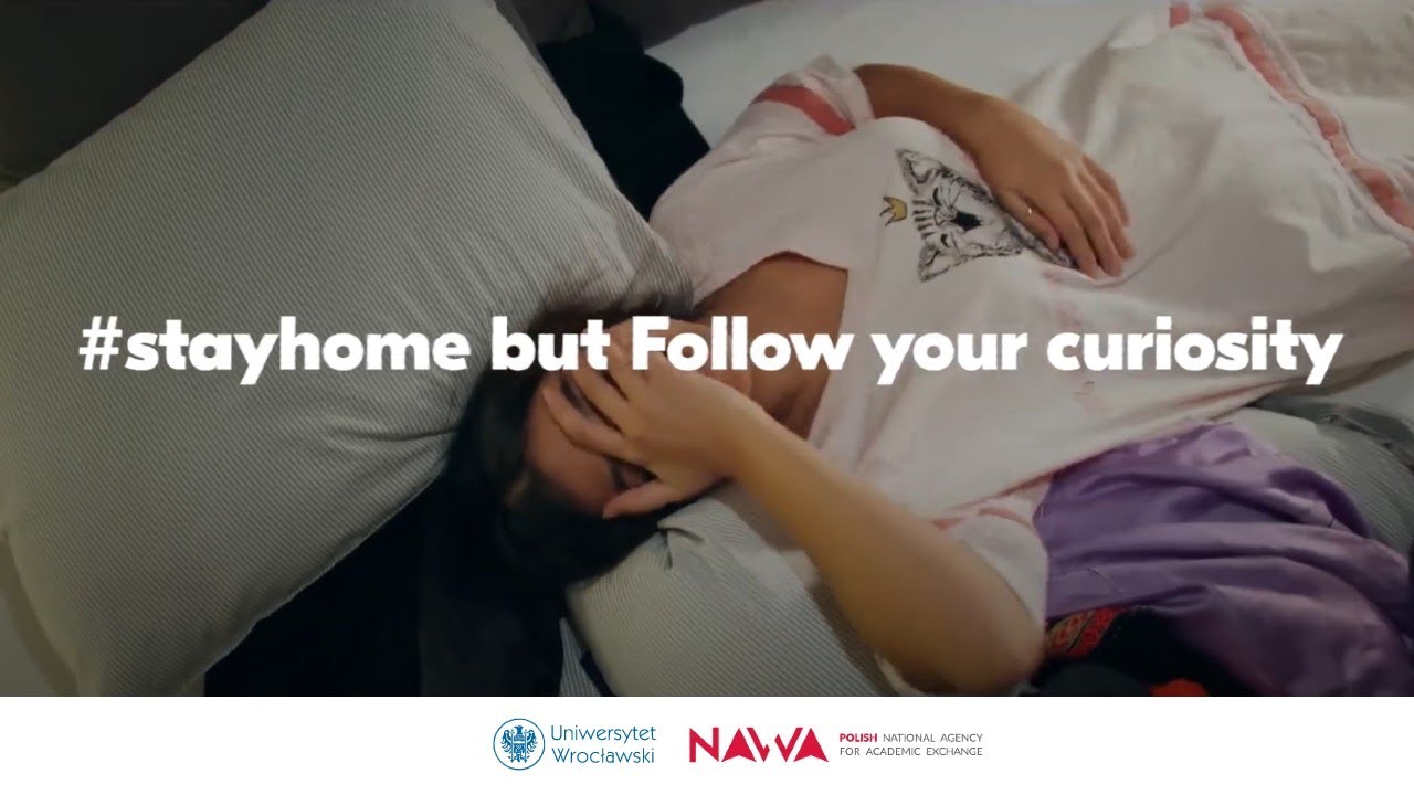 Stay home but follow your curiosity