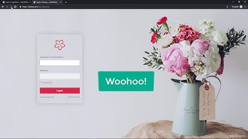 Import / Export - LoginPress settings