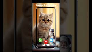 cat calling #shorts#viralshorts  #ringtone #cute animals