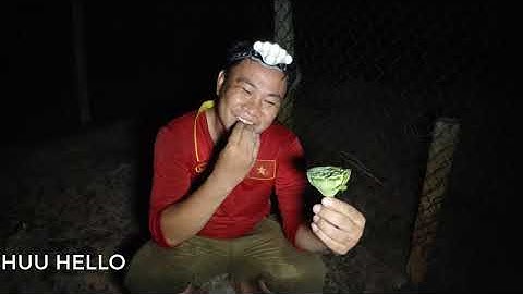 cắm câu cá lóc _  về nấu cháo và cái kết 50 cầm câu .quá đỉnh