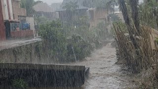 Heavy Rain Causes Floods in My Village Indonesia || Tranquil Atmosphere Ideal for Sound Sleep