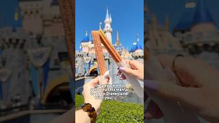 The Person Who Sent You This Wants to Go to Disneyland 🏰✨🩵 #disneyland
