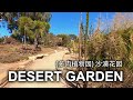 4khidden gem desert garden in balboa park san diego california usa   