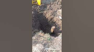 JCB Is Removing The Tree From The Soil