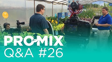 Growing in PRO-MIX vs Soil or Hydroponics