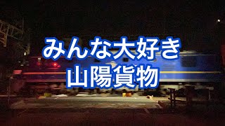 2021.6.27 みんな大好き1073レ　EF210-329は新しいだけあって光沢がすごい！