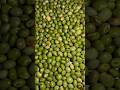 Green Pigeon Peas Green Tuvar Beans