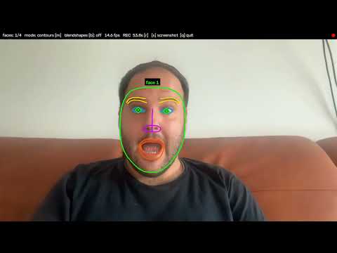 Face Landmark Demo