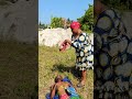Mwakatombe Reels Funny Duetcomedy Bongomovie Duet Comedyfilms Mwakatombe Reels Funny Duetcomedy Bongomovie Duet Comedyfilms