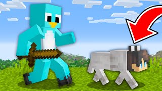 Speedrunner VS Hunter, BUT you Can SHAPESHIFT  Minecraft