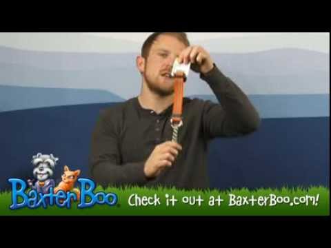 chain reaction collar