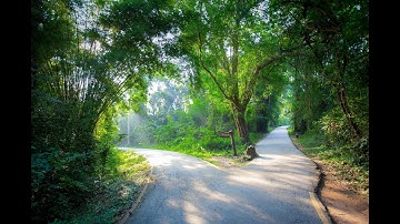 Synthetix Founder There’s a Chance Bitcoin “Barely Moves” in this Bull