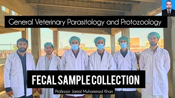 Fecal Sample Collection in Buffaloes | DVM 3rd Semester Practical 