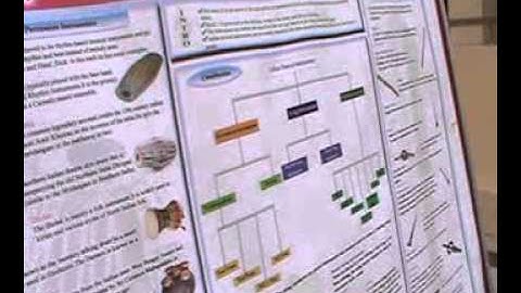 Indian Musical Instruments ~1