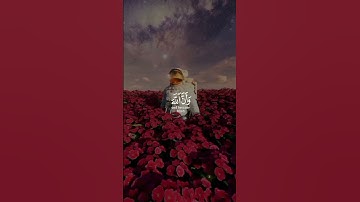 قران بصوت عبدالرحمن مسعد سورة الحج💙