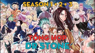 TỔNG HỢP 'Dr. Stone' | Em Yêu Khoa Học Thời Kỳ Đập Đá | Season 1+2+3 | AL Anime