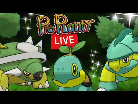 TURTWIG COMMUNITY DAY LIVE POKEMON GO SHINY HUNT