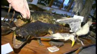 Documental Santiago del Estero, Mercedes, Corrientes