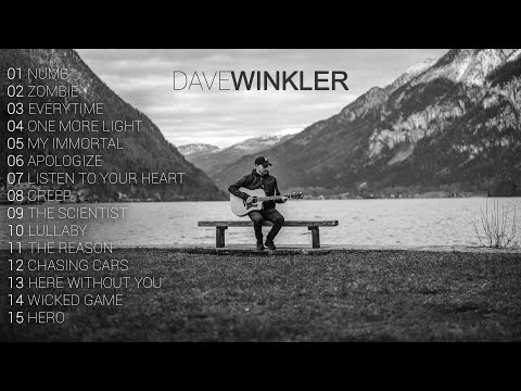 Dave Winkler - Most Viewed Acoustic Covers