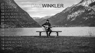 Dave Winkler  Most Viewed Acoustic Covers