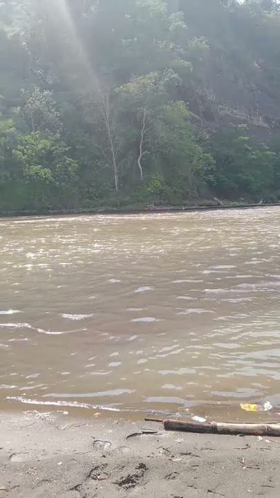 berburu ikan babon di lubuk supit#anak lematang#like and subscribe