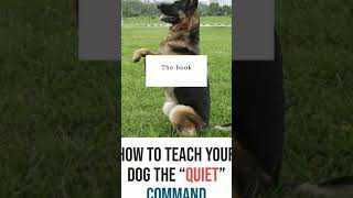 how to teach your dog the 'quite' command