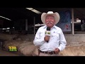 TIERRA FÉRTIL TV-SEGUNDO PROGRAMA DESDE LA EXPO GANADERA JALISCO 2018 (03.11.18)