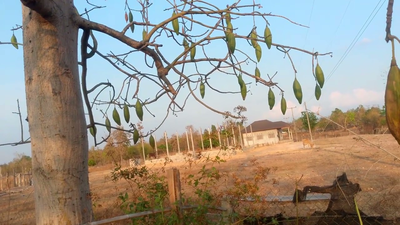 27 กุมภาพันธ์ ค.ศ. 2026