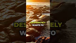 😏💏😜Subtle Ways to Enter Her Fantasies😏💏😜