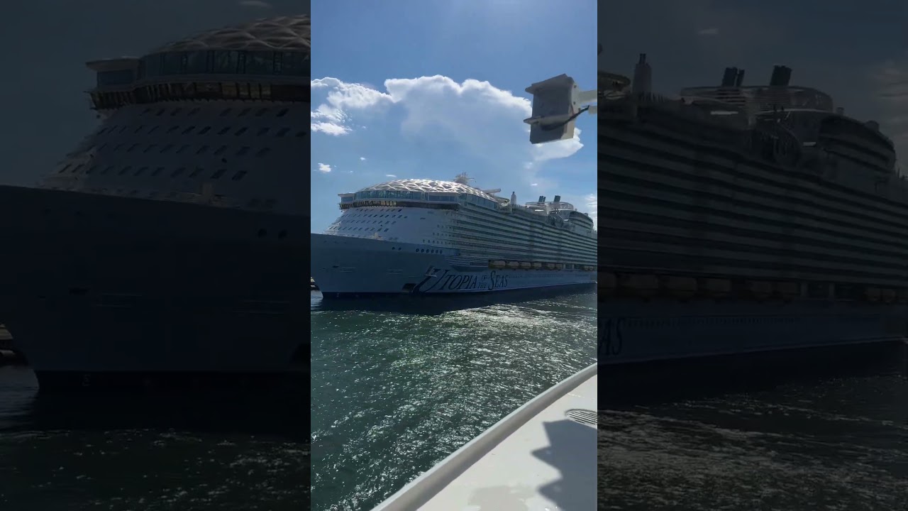 Utopia of the seas🛳️⚓️ #cruise #royalcaribbean #rclife#utopia #utopiaoftheseas #viral