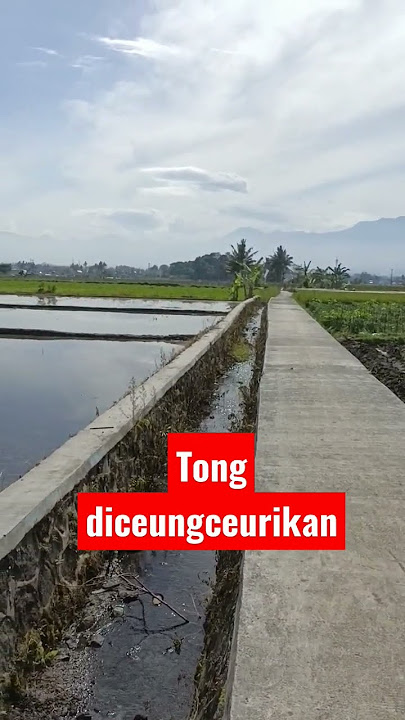 Tong Diceungceurikan #lagusunda #alampedesaan
