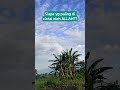 Orang yang paling ALLAH cintai🤲 #ceramah #shortsfeed #trending #viral #new #love #islam