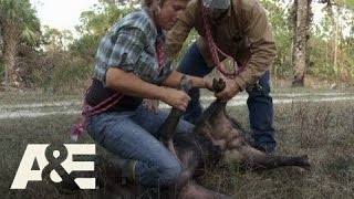 Lady Hoggers Hog Gang A&E