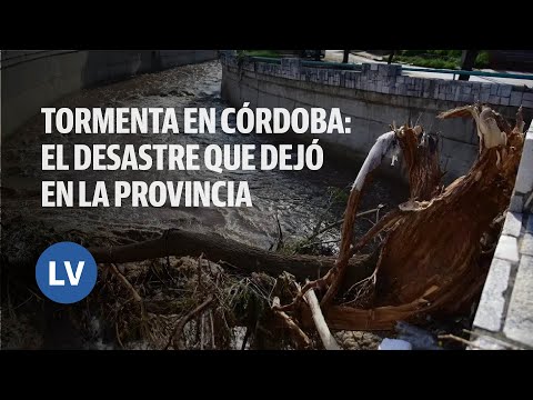 Tormenta en Córdoba: el desastre que dejó en distintos puntos de la provincia