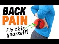 How To Treat Back Pain At Home - Strategies, Tests, And Exercises For Your Back