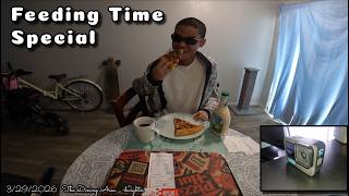 Special Being Handfed