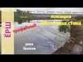 Русская рыбалка 4 - река Волхов - Ёрш трофейный под корягой