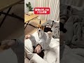 途中ニワトリいた？by姉