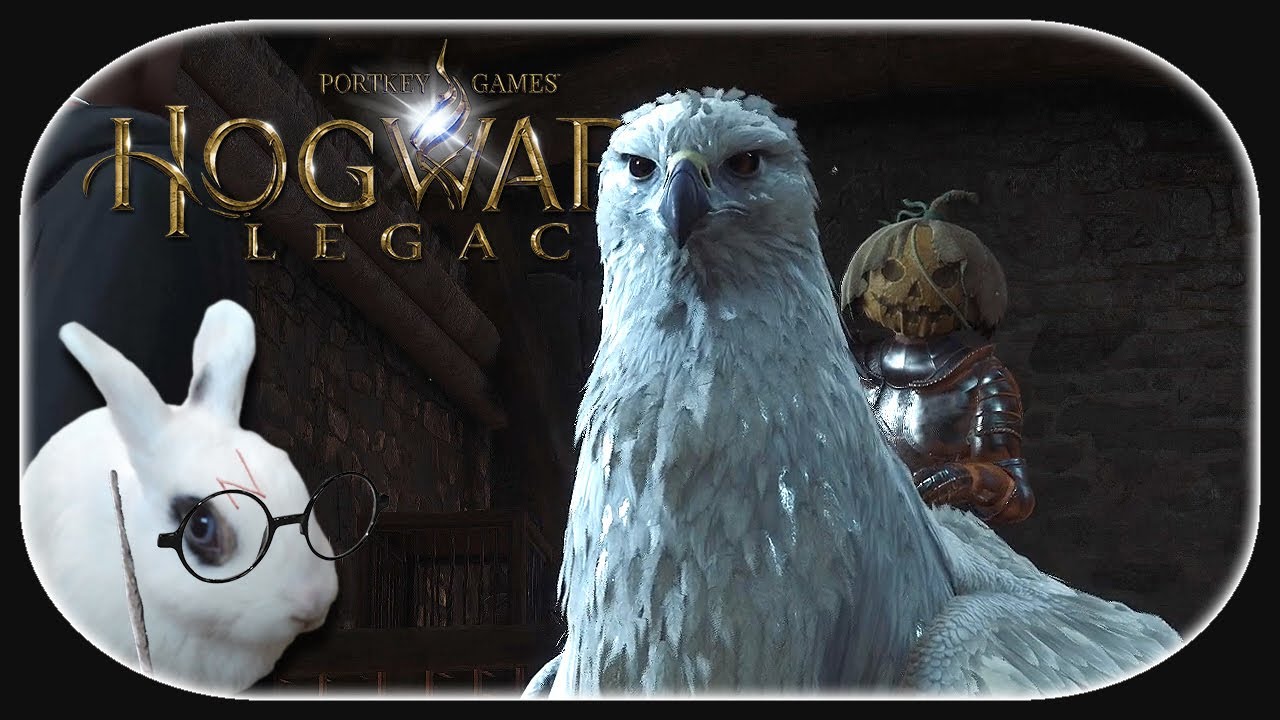 HOGWARTS LEGACY 🐇 41 Tiere sind Gegenstände YouTube