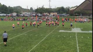 IMG 10611