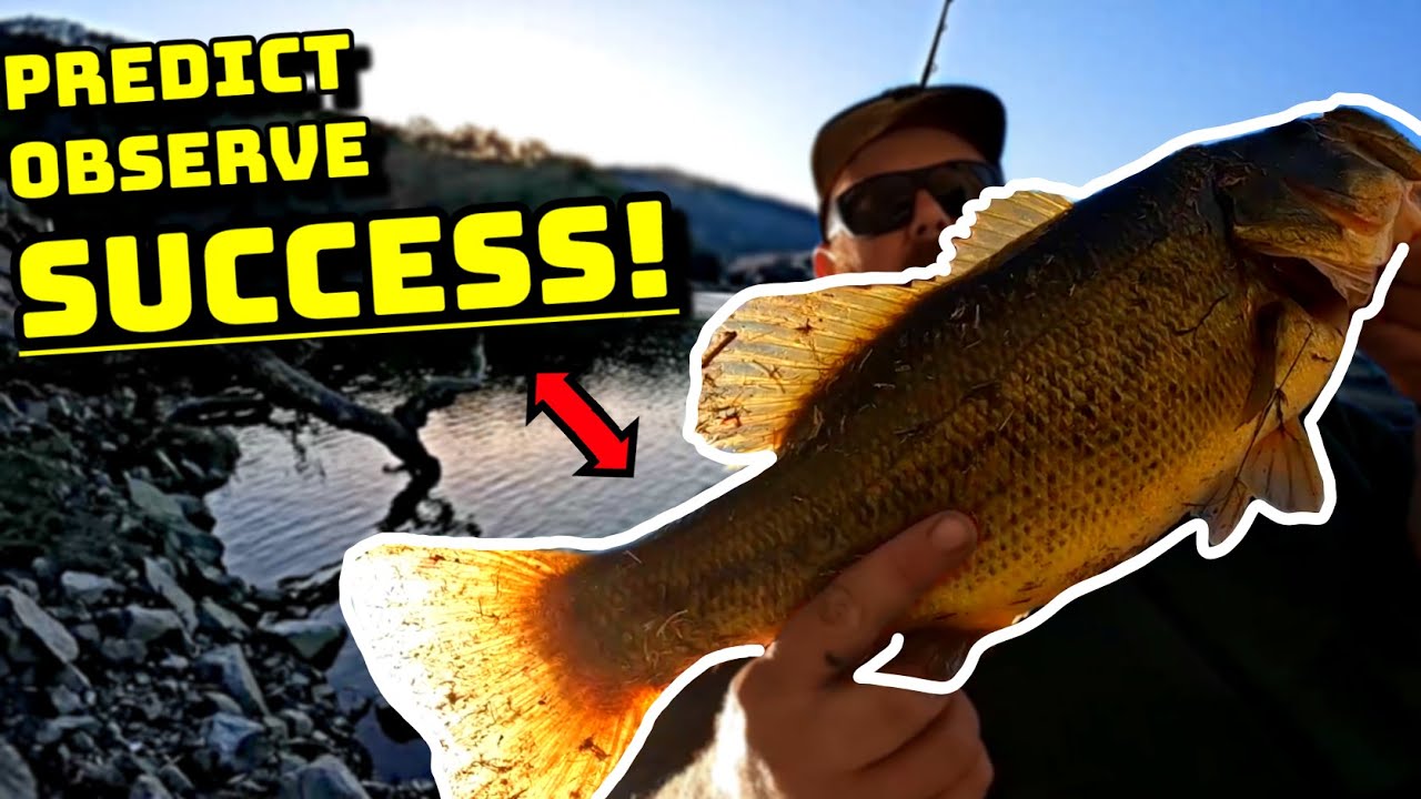 How To Break It Down (San Jose Bass Fishing)