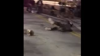 Poor Guy Slammed To The Ground Attempting A Skateboarding Trick