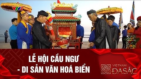 Lễ hội Cầu ngư - Di sản văn hoá biểnI Việt Nam đa sắc