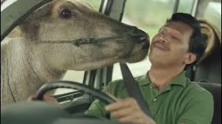 Iklan Sampoerna Hijau - The Picnic Delicious Festive (2016)