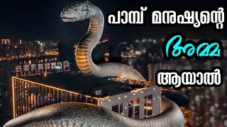 Snake Girl (2021) Explained In Malayalam | She Zhi Nu Explained In Malayalam