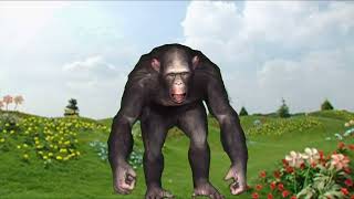 Teletubbies Magical Event Monkey