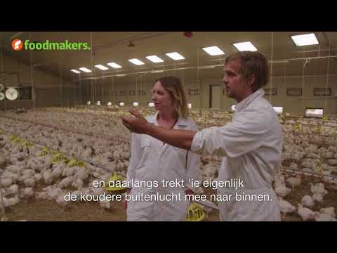 Video: Hoe Organiseer Je Een Kippenboerderij?