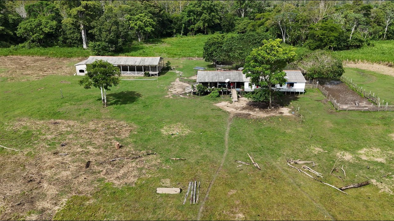 Festa de São Francisco, Fazenda Paraíso - Parintins Amazonas